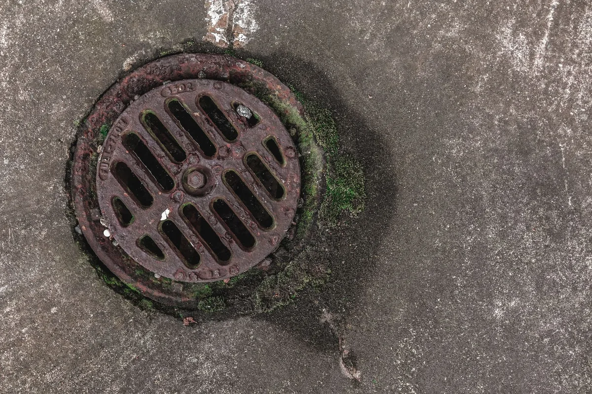 Sewer line access cover on a Bothell WA street