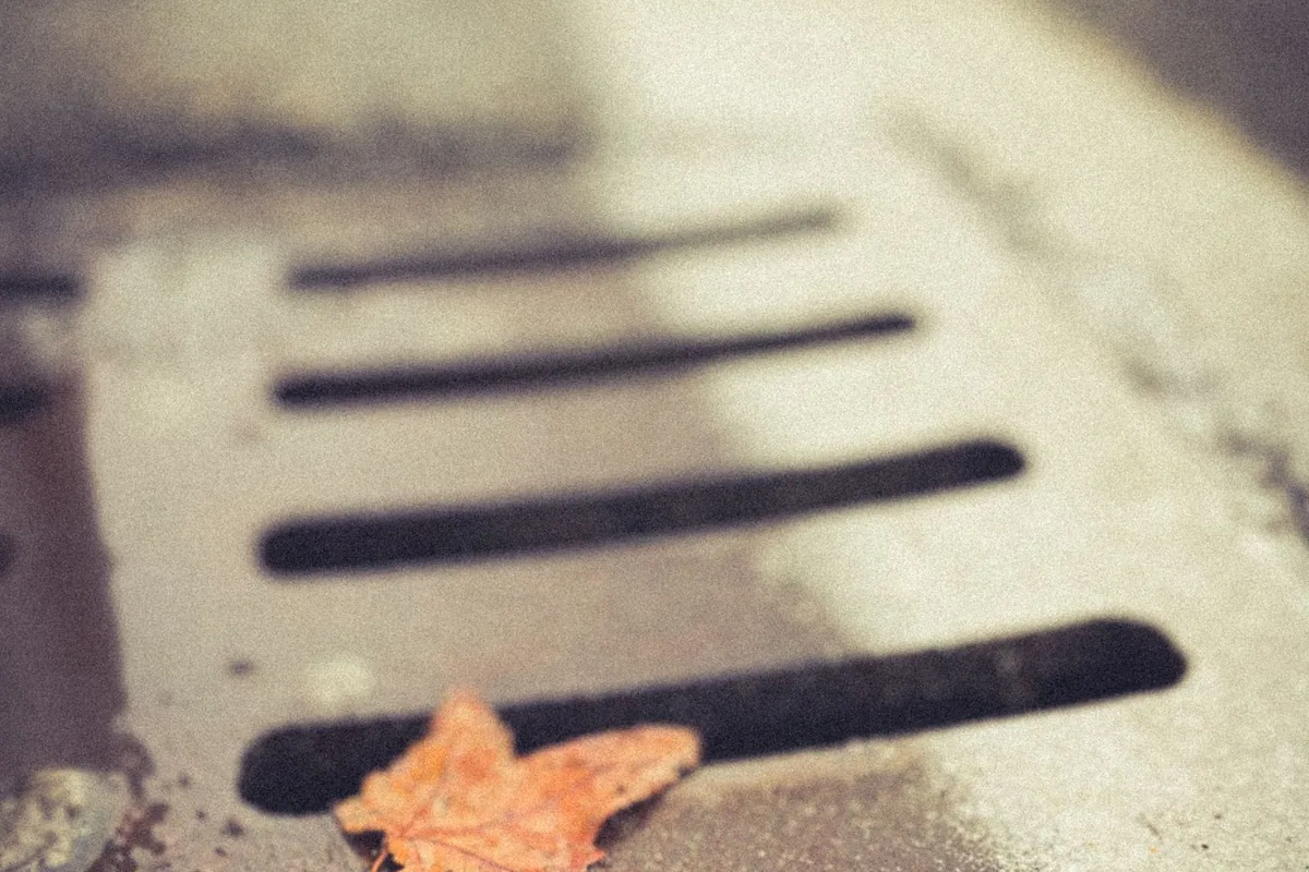 Leaves blocking a storm drain grate in Downtown Bothell